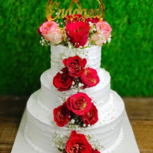 Engagement Cake (21)