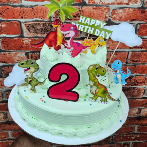First Birthday Boy (9)